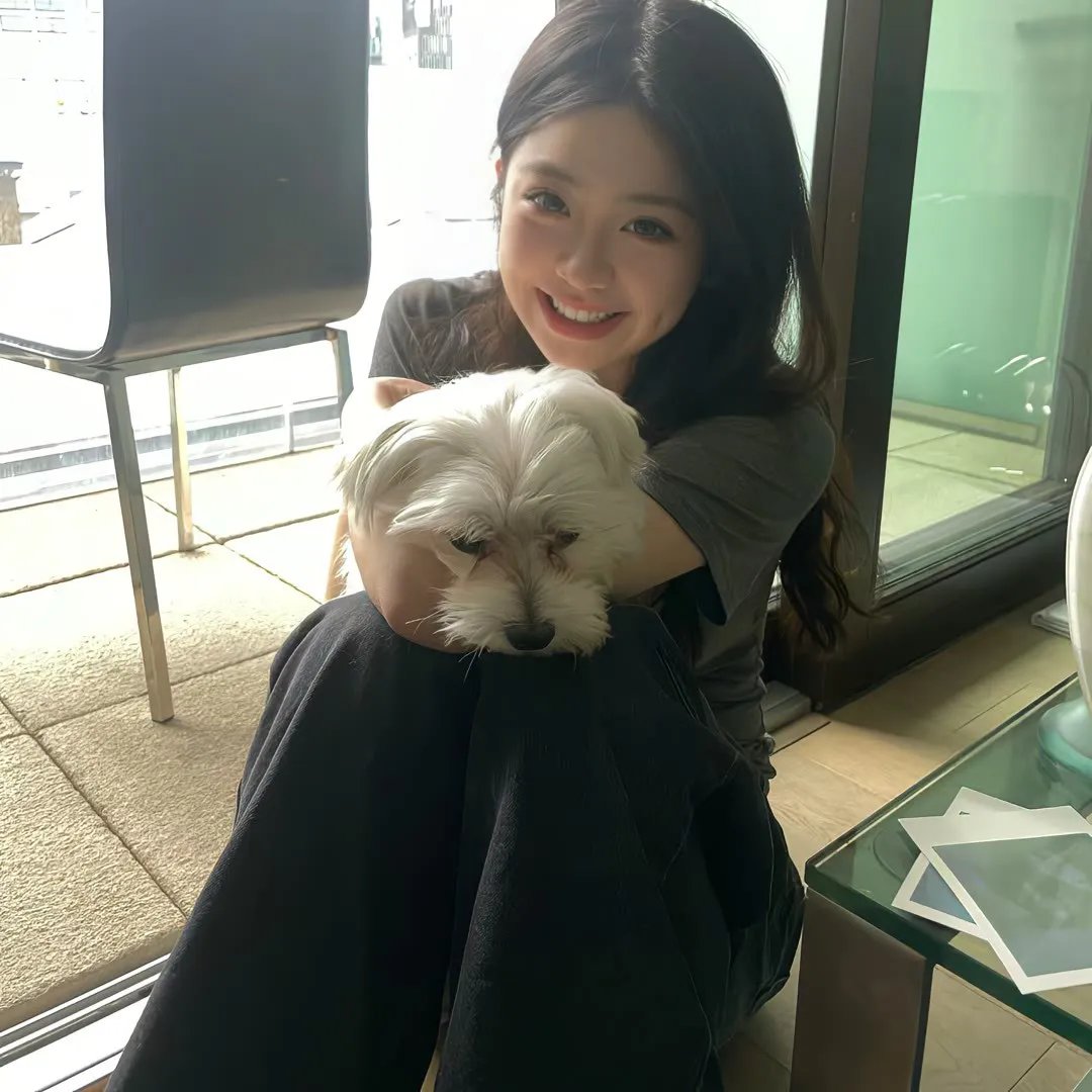 函馆春晓 海报